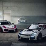 Porsche 911 GT2 RS Flachbau: un homenaje único al Moby Dick